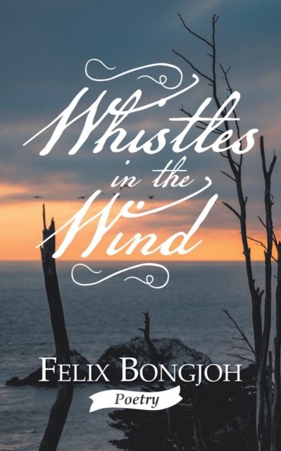 Cover for Felix Bongjoh · Whistles in the Wind (Paperback Book) (2019)