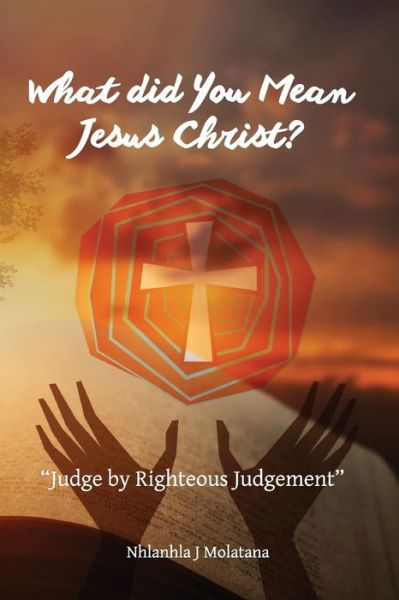 What Did You Mean Jesus Christ? - Nhlanhla J Molatana - Bøger - Createspace Independent Publishing Platf - 9781530677924 - 30. marts 2016