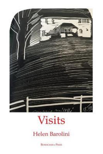 Visits - Helen Barolini - Książki - Bordighera Press - 9781599540924 - 5 lutego 2016