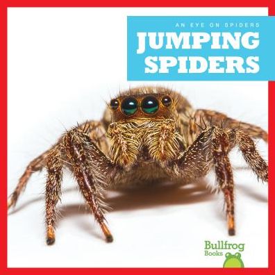 Cover for Jenna Lee Gleisner · Jumping Spiders (Hardcover Book) (2018)