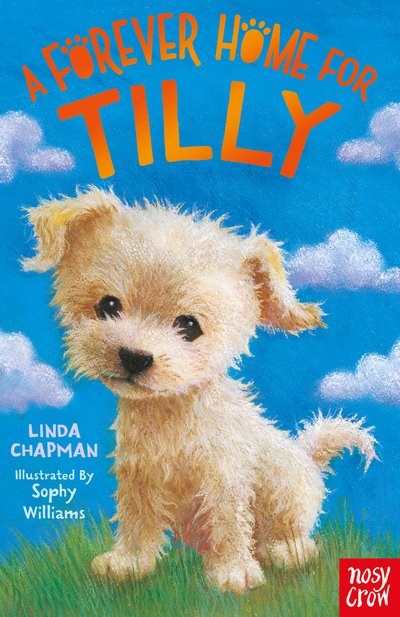 Cover for Linda Chapman · A Forever Home for Tilly - Forever Homes (Paperback Book) (2020)