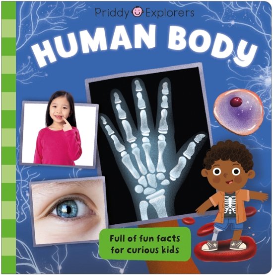 Cover for Roger Priddy · Priddy Explorers Human Body - Priddy Explorers (Board book) (2024)