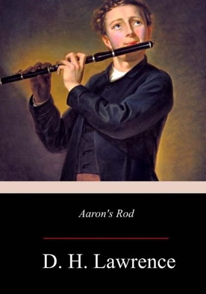 Cover for D H Lawrence · Aaron's Rod (Paperback Book) (2017)