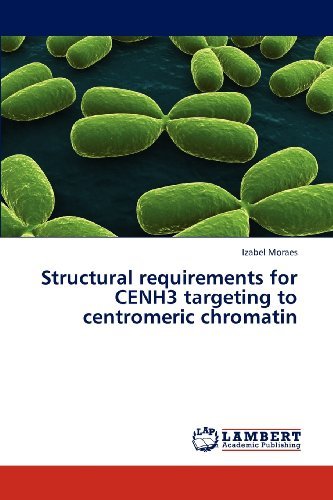 Cover for Izabel Moraes · Structural Requirements for Cenh3 Targeting to Centromeric Chromatin (Paperback Bog) (2013)