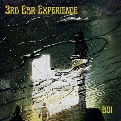 3rd Ear Experience - 3rd Ear Experience - Musik - ROCK - 0020286213925 - 11. juni 2013