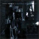 Cover for Fates Warning · Pleasant Shade Of Gray  by Fates Warning (CD) (2011)