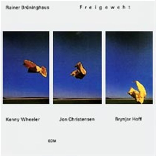 Cover for Ranier Bruninghaus · Freigeweht (CD) (2000)