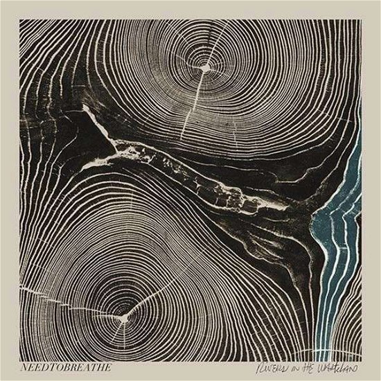 Cover for Needtobreathe · Rivers in the Wasteland (CD) (2014)
