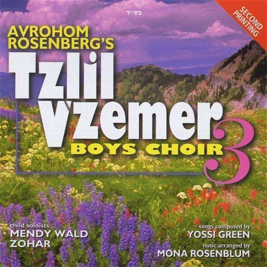 Cover for Tzlil V'zemer Boys Choir · Vol. 3 (CD) (2010)