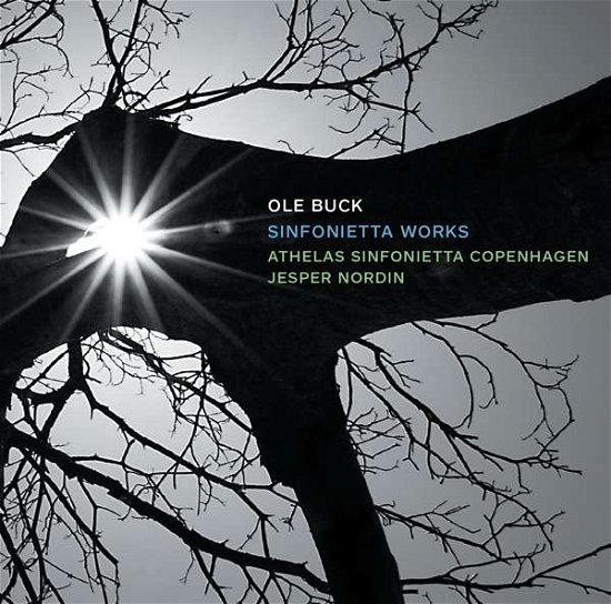 Cover for Buck / Athelas Sinfonietta Copenhagen · Sinfonietta Works (CD) (2016)