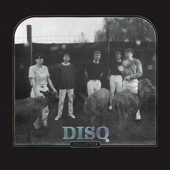 Cover for Disq · Collector (CD) (2020)