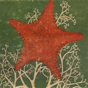 Arm Of The Starfish - Blithe Sons - Musik - FAMILY VINEYARD - 0656605402925 - 11. März 2004