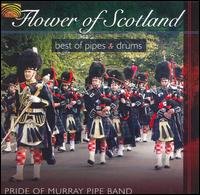 Cover for Pride of Murray Pipe Band · Flower of Scotland: Best of Pipes &amp; Drums (CD) (2007)