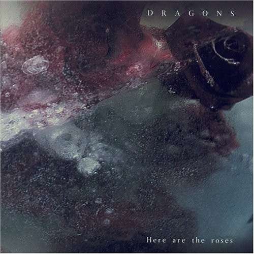Cover for Dragons · Here Are the Roses (CD) (2008)