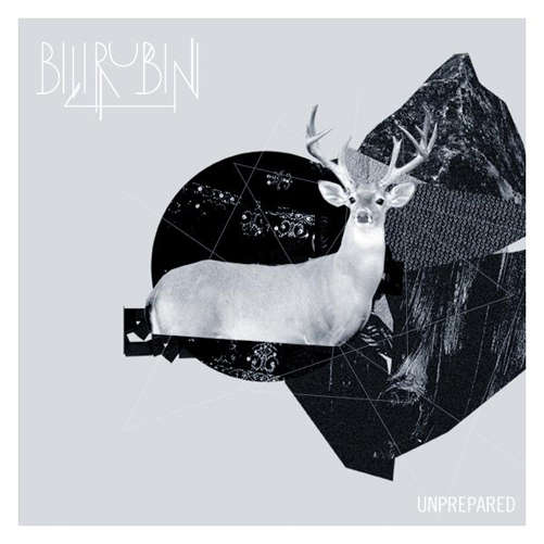 Cover for Bilirubin · Unprepared (CD) (2012)