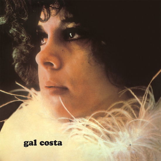 Cover for Gal Costa (LP) (2024)