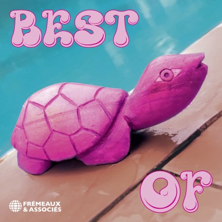 Cover for Pink Turtle · Best Of (CD) (2024)