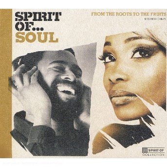 Cover for Varios. · Spirit of Soul (CD)
