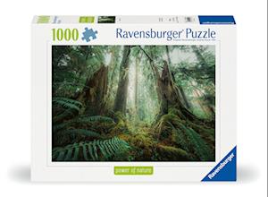 Cover for Ravensburger · Puzzle Woods 1000p (12000292) (Toys)