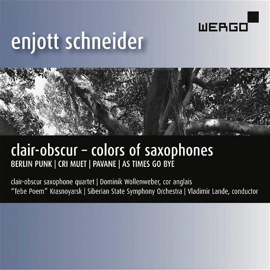 Enjott Schneider: Clair-Obscur - Colors Of Saxophones - Schneider - Music - WERGO - 4010228511925 - February 1, 2019
