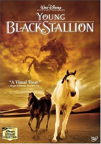 Young Black Stallion - (UK-Version evtl. keine dt. Sprache) - Film - Walt Disney - 5017188815925 - 28 mars 2005