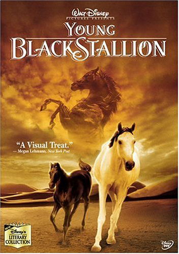 Young Black Stallion - (UK-Version evtl. keine dt. Sprache) - Filmy - Walt Disney - 5017188815925 - 28 marca 2005