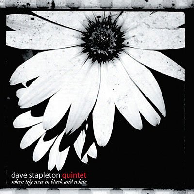 Cover for Dave Stapleton · When Life Was In Black &amp; (CD) (2005)