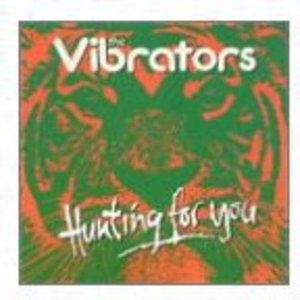 Cover for Vibrators · Hunting for You (CD) (2012)