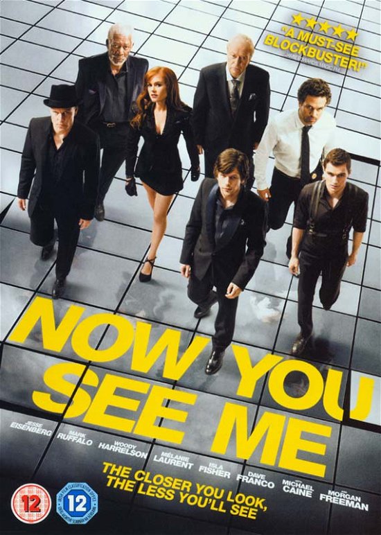 Cover for Now You See Me (DVD) (2013)