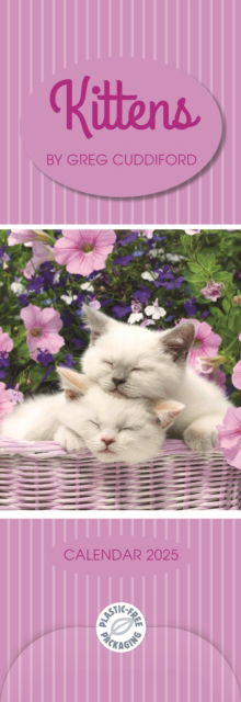 Kittens By Greg Cuddiford  Slim Calendar 2025 - Wpl Gifts Ltd - Książki - Wpl Gifts Ltd - 5056308205925 - 23 sierpnia 2024