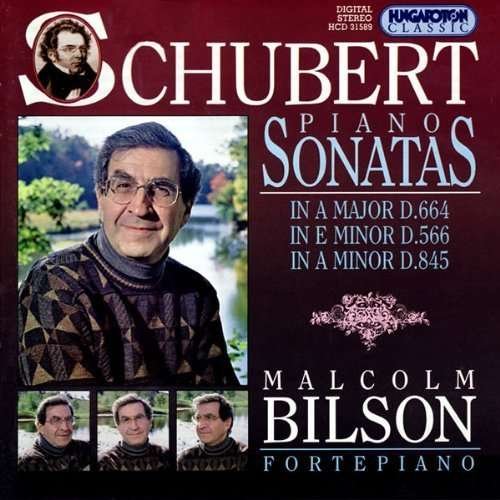 Cover for F. Schubert · Piano Sonatas Vol.4 (CD) (2011)