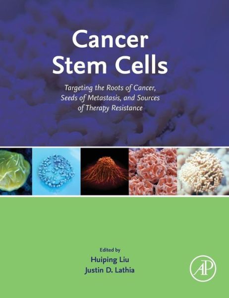 Cover for Huiping Liu · Cancer Stem Cells: Targeting the Roots of Cancer, Seeds of Metastasis, and Sources of Therapy Resistance (Gebundenes Buch) (2016)