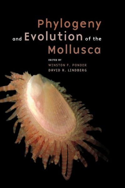 Cover for David R Lindberg Winston F Ponder · Phylogeny and Evolution of the Mollusca (Hardcover Book) (2008)