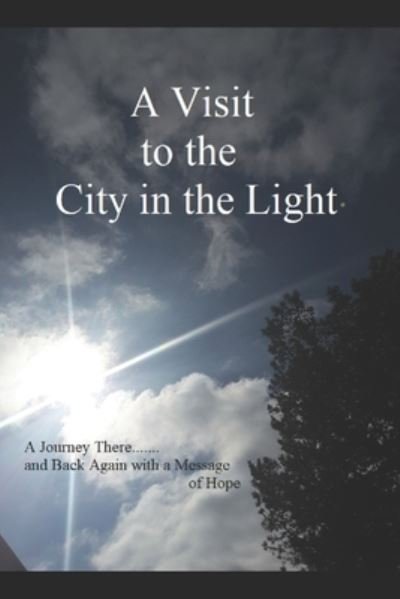 Cover for H F D · A Visit to the City in the Light (Paperback Book) (2021)