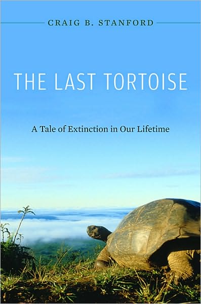 Cover for Craig Stanford · The Last Tortoise: a Tale of Extinction in Our Lifetime (Hardcover Book) (2010)