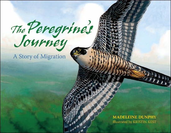 Cover for Madeleine Dunphy · The Peregrine's Journey: A Story of Migration (Pocketbok) [First Trade Paper edition] (2008)