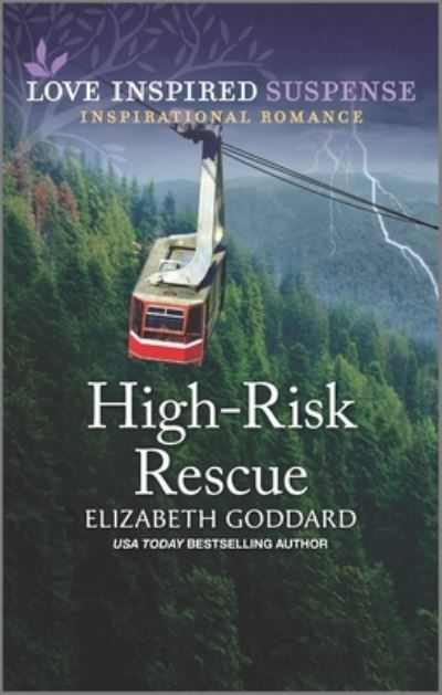 Cover for Elizabeth Goddard · High-Risk Rescue (Paperback Book) (2022)