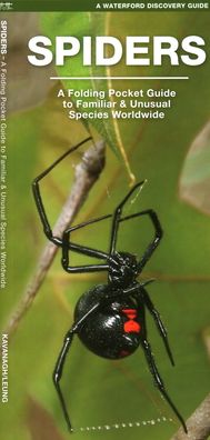 Cover for James Kavanagh · Spiders: A Folding Pocket Guide to Familiar Species Worldwide - Waterford Discovery Guide (Pamphlet) (2021)