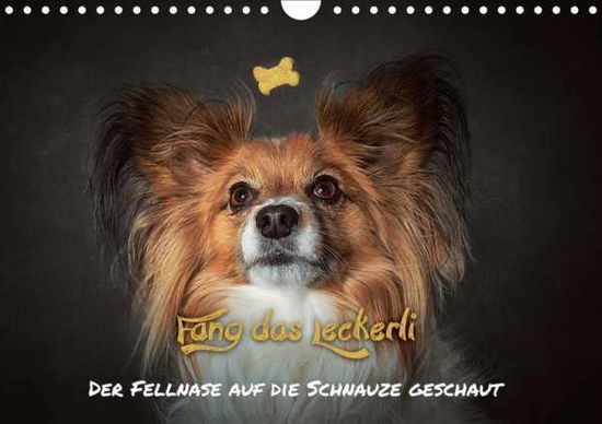 Cover for Schöberl · Fang das Leckerli! (Wandkalend (Book)