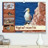 Vögel auf rotem Fels - Helgolan - Schaack - Books -  - 9783672813925 - 