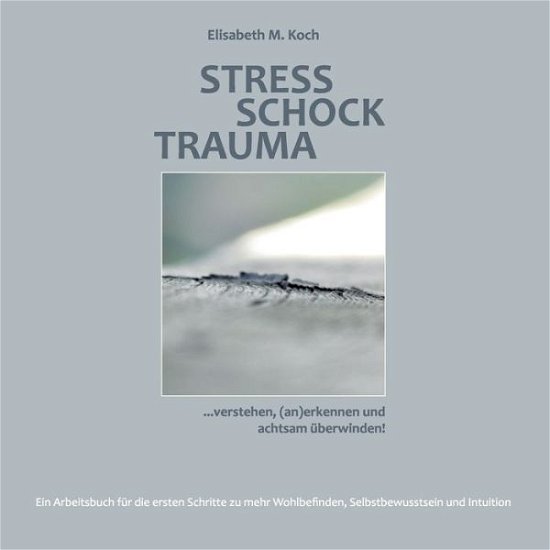 Cover for Koch · Stress Schock Trauma ... verstehen (Buch) (2017)