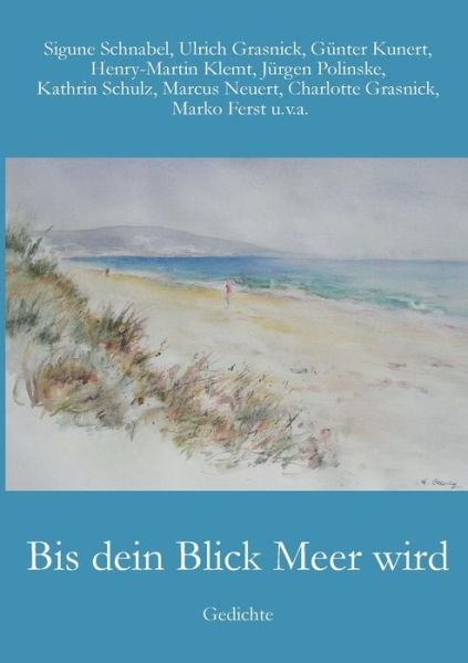 Cover for Schnabel · Bis dein Blick Meer wird (Bok) (2020)
