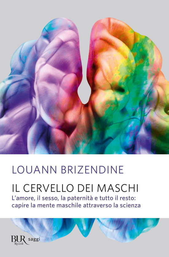 Cover for Louann Brizendine · Il Cervello Dei Maschi. L'amore, Il Sesso, La Paternita E Tutto Il Resto: Capire La Mente Maschile Attraverso La Scienza (Book)