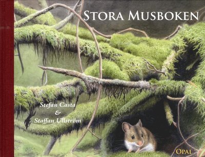Cover for Stefan Casta · Stora musboken (Gebundesens Buch) (2013)