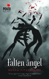 Cover for Becca Fitzpatrick · Fallen ängel: Fallen ängel (Paperback Book) (2011)
