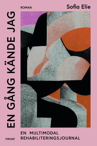 Cover for Sofia Elie · En gång kände jag (Hardcover Book) (2021)