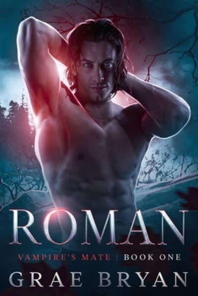 Cover for Grae Bryan · Roman: An MM Paranormal Romance - Vampire's Mate (Pocketbok) (2022)