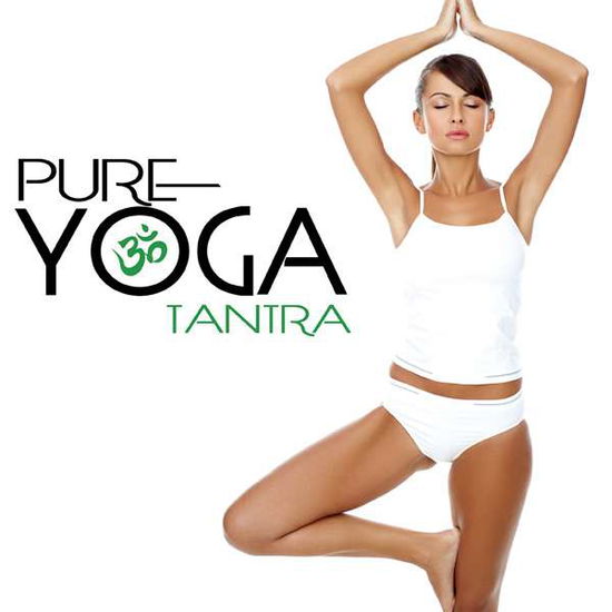 Pure Yoga Tantra - Various Artists - Musik - WATER MUSIC RECORDS - 0065219462926 - 14. Oktober 2016