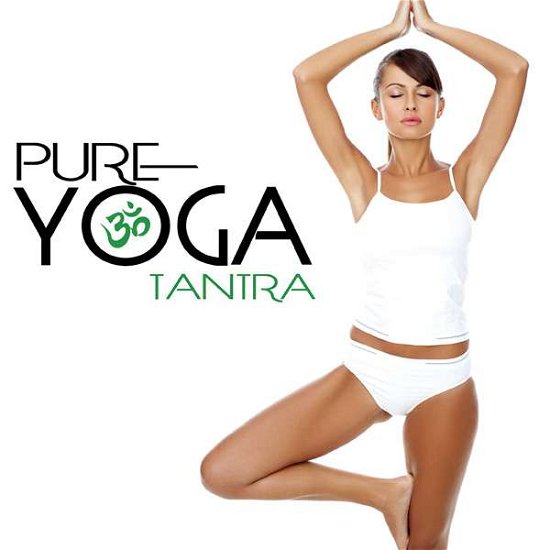 Pure Yoga Tantra - Various Artists - Musik - Water Music Records - 0065219462926 - October 14, 2016