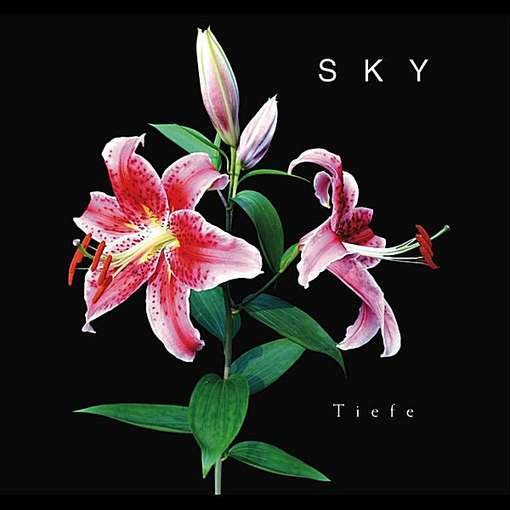 Cover for Sky · Tiefe (CD) (2011)